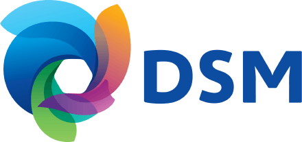 Logo DSM