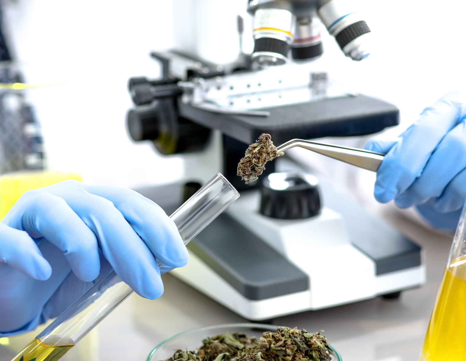 Claves para el desarrollo industrial del cannabis farmacéutico