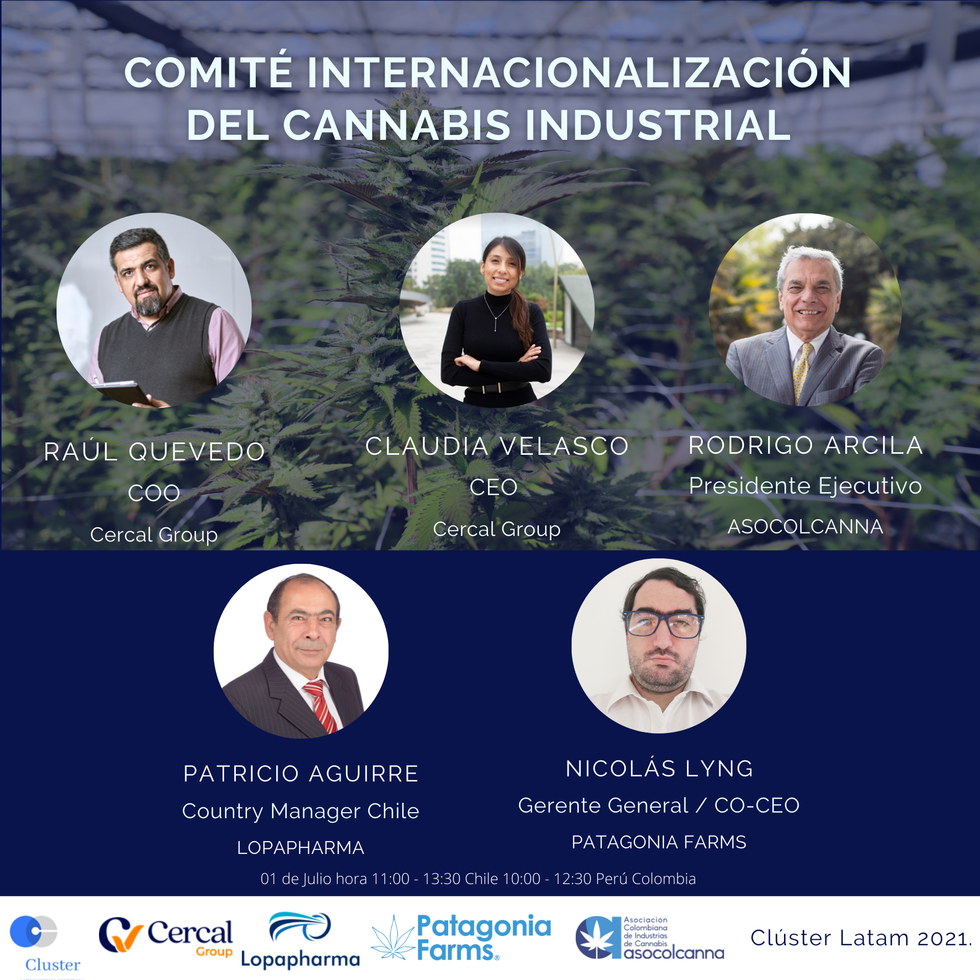 Plantilla de Comité Cannabis (2) (1)